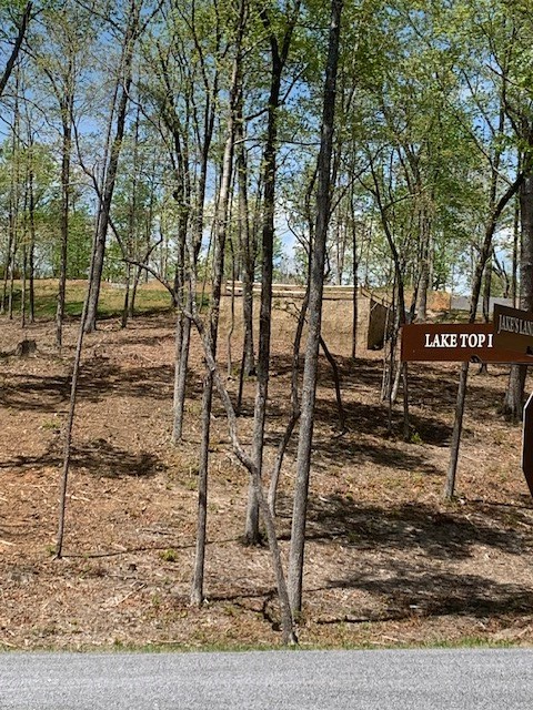 Lot #6 Lake Top