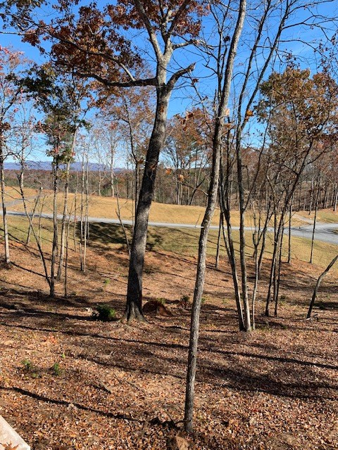 Lot #6 Lake Top