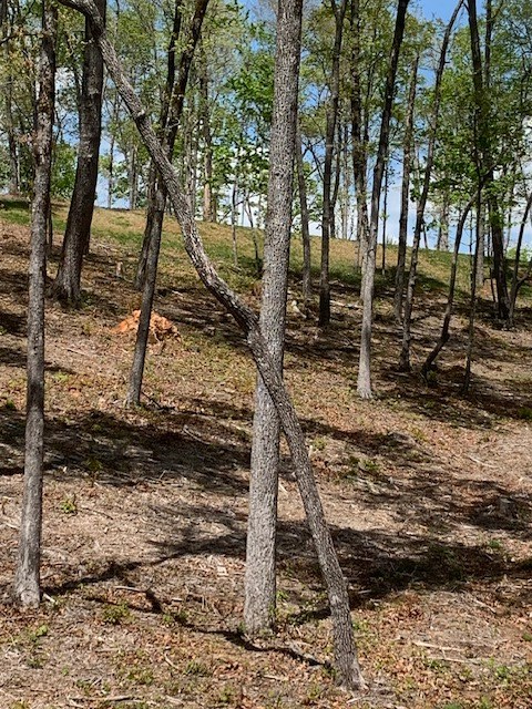 Lot #6 Lake Top