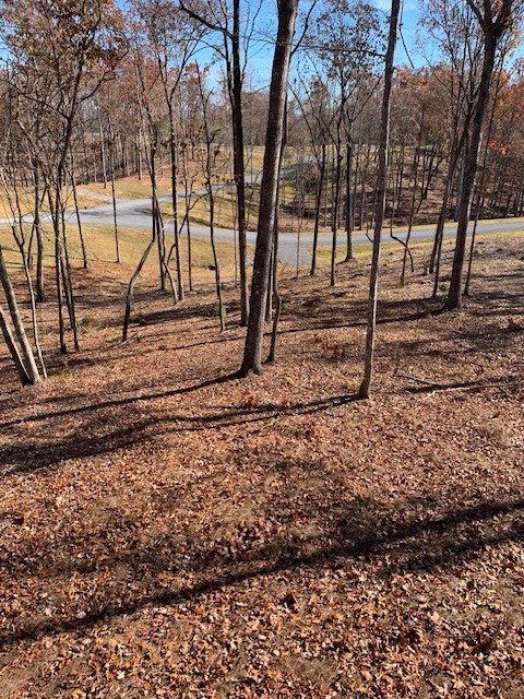 Lot #6 Lake Top