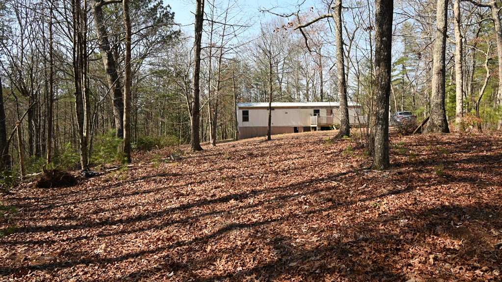 2379 Craigtown Road