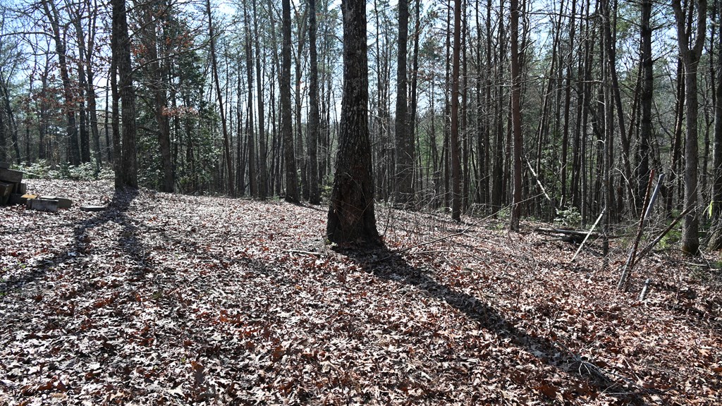 2379 Craigtown Road