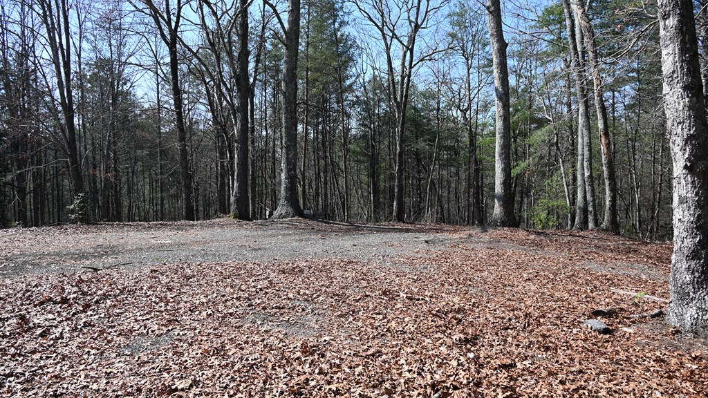 2379 Craigtown Road