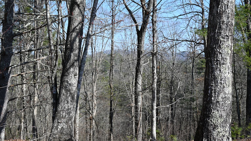2379 Craigtown Road