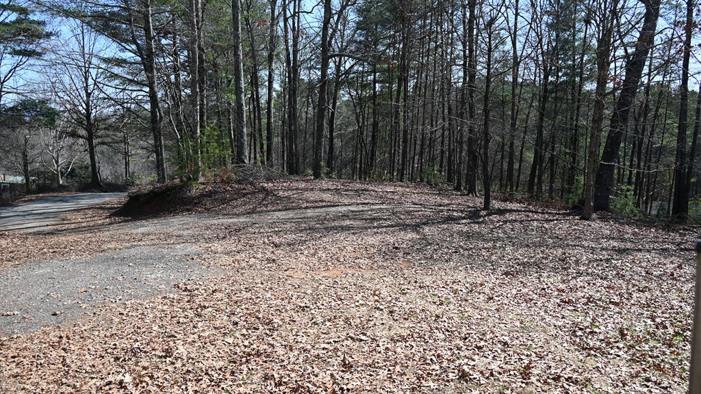 2379 Craigtown Road