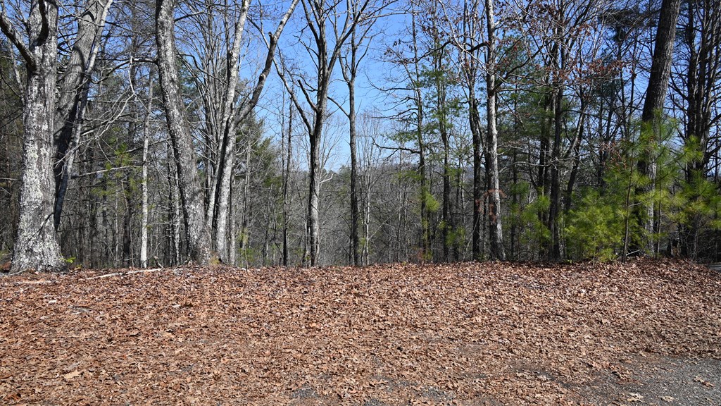 2379 Craigtown Road