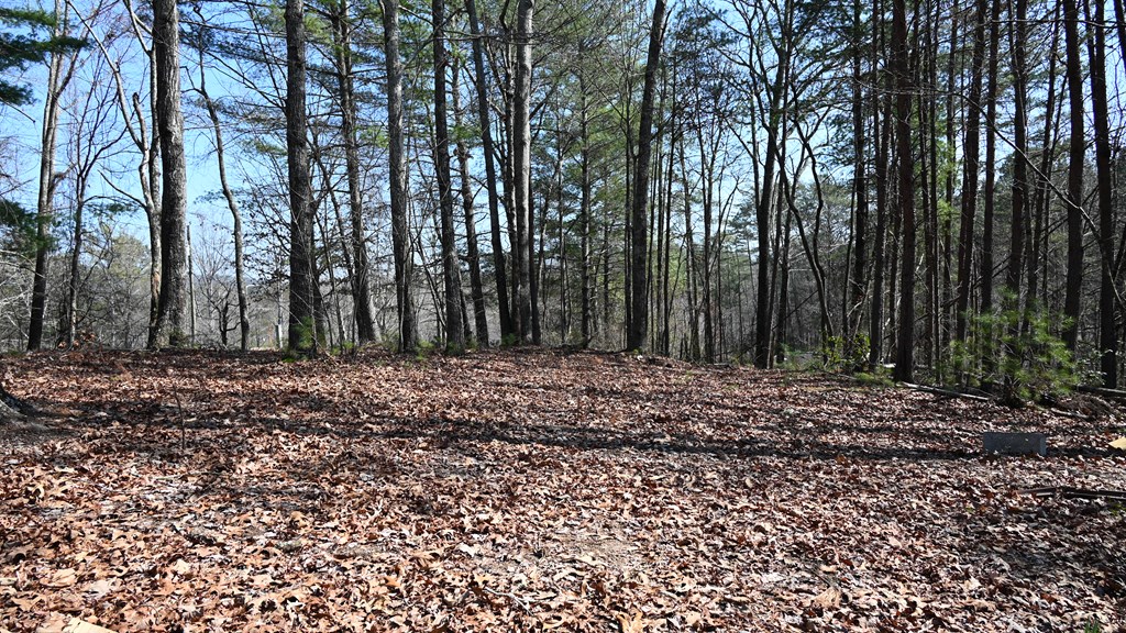 2379 Craigtown Road
