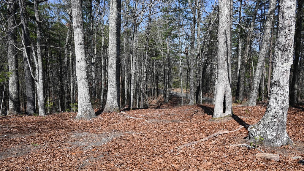 2379 Craigtown Road