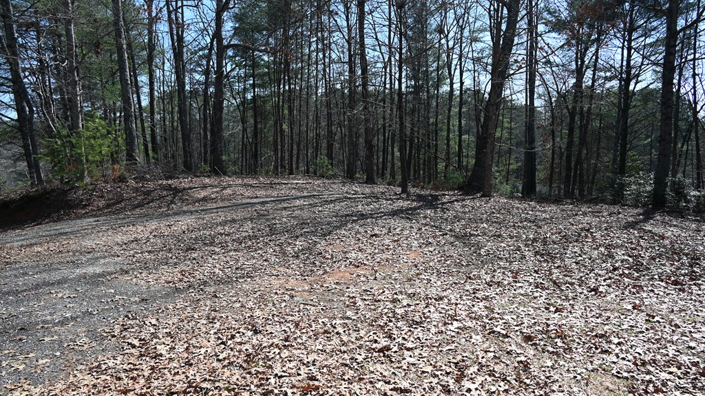 2379 Craigtown Road