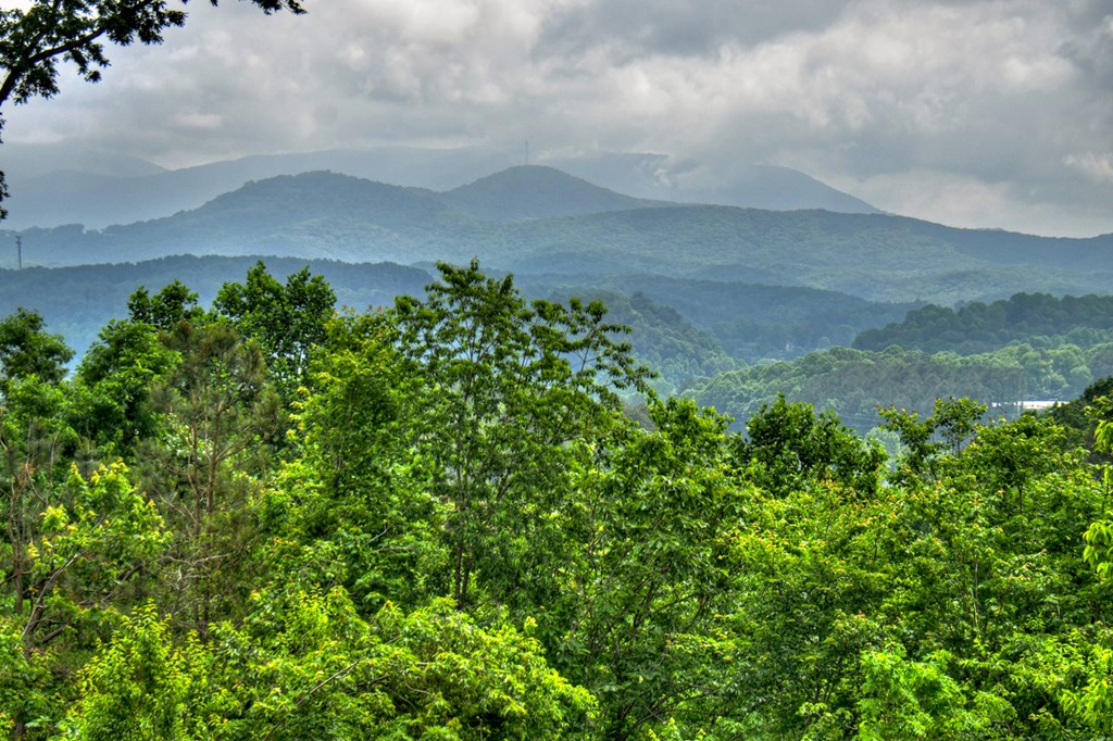 168 Summit View Lane