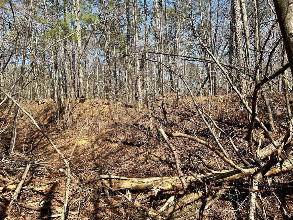 0 Berean Church Road