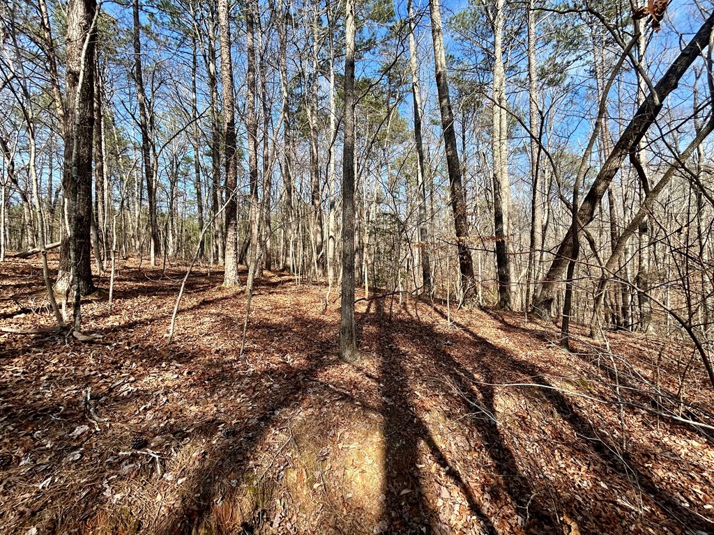 0 Berean Church Road