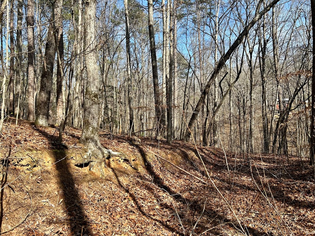 0 Berean Church Road
