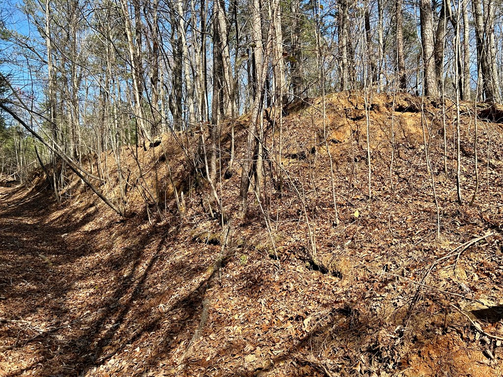 0 Berean Church Road
