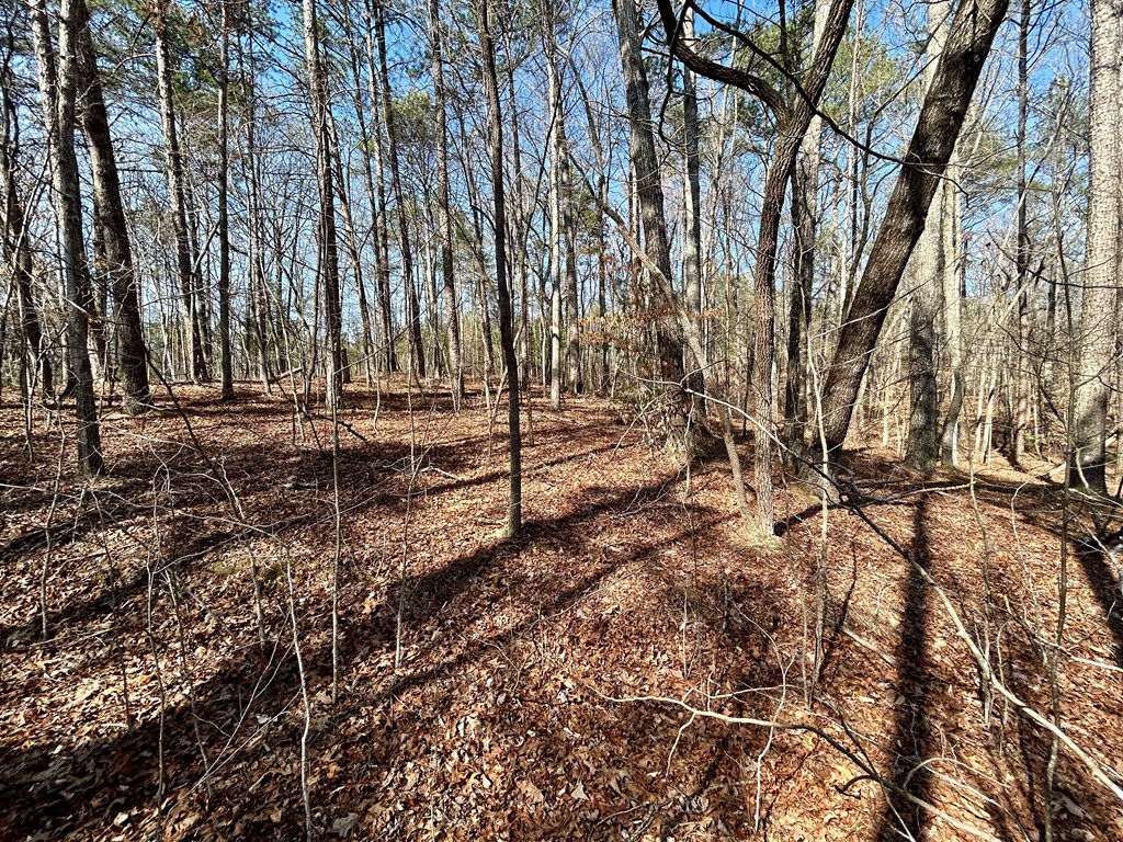 0 Berean Church Road