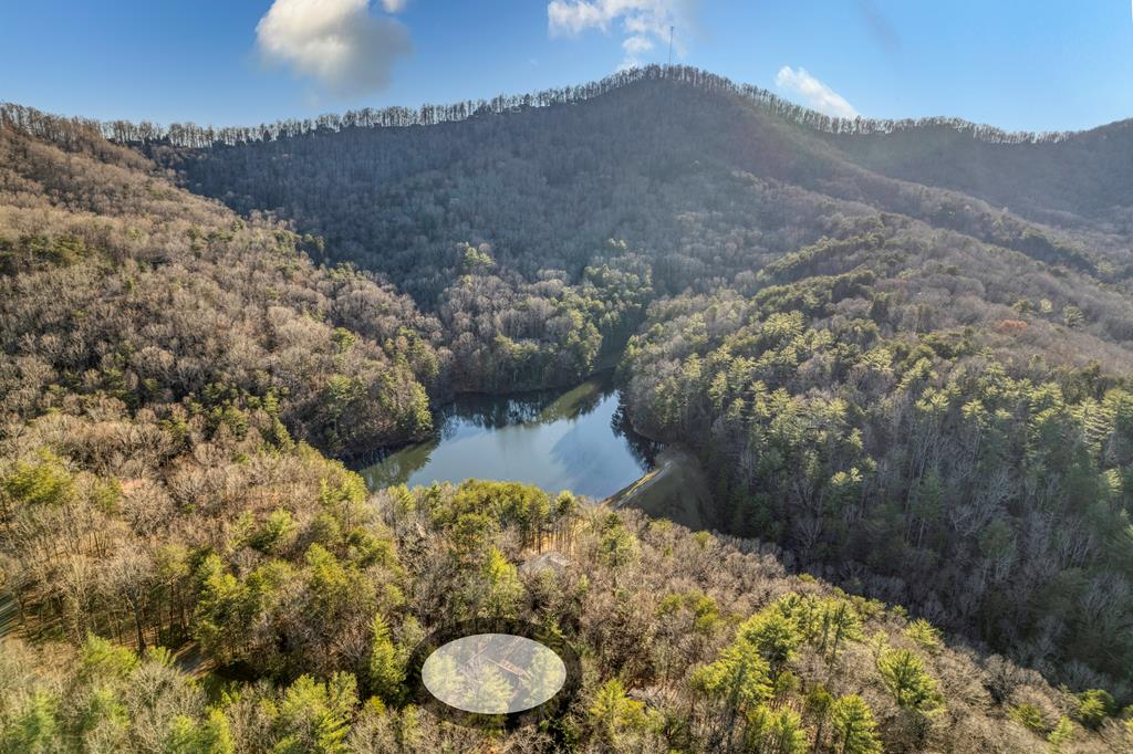 340 Skyview Drive