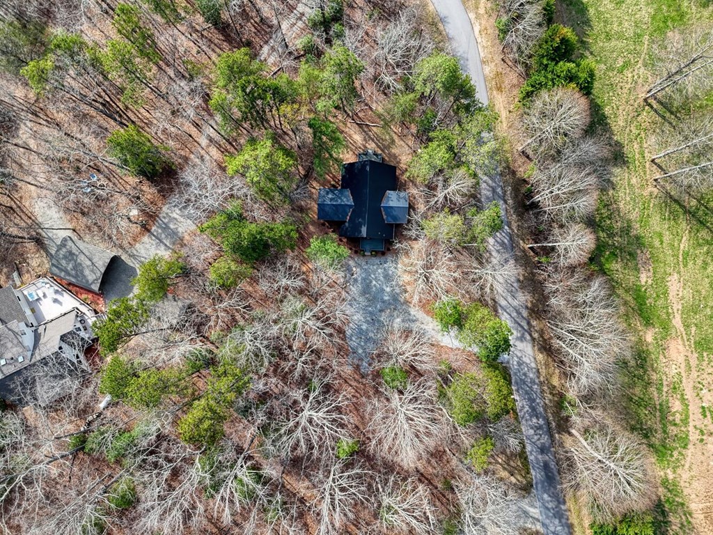 293 Paul Nicholson Road