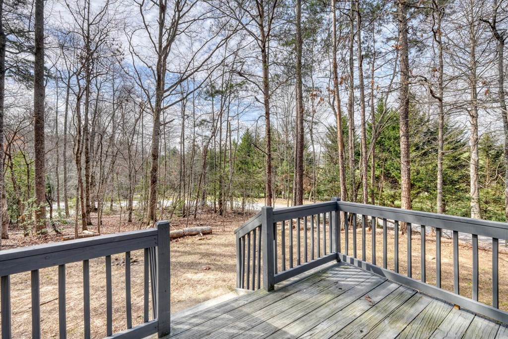 293 Paul Nicholson Road