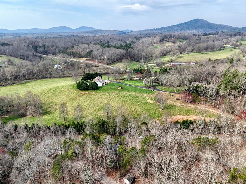 293 Paul Nicholson Road