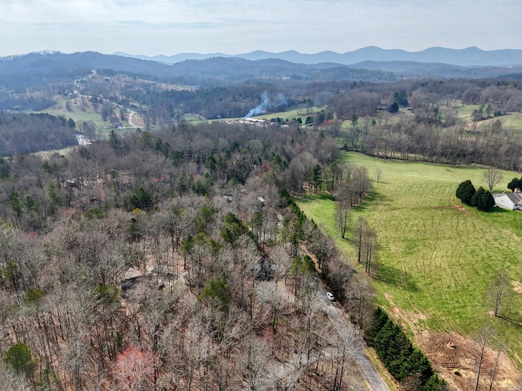 293 Paul Nicholson Road