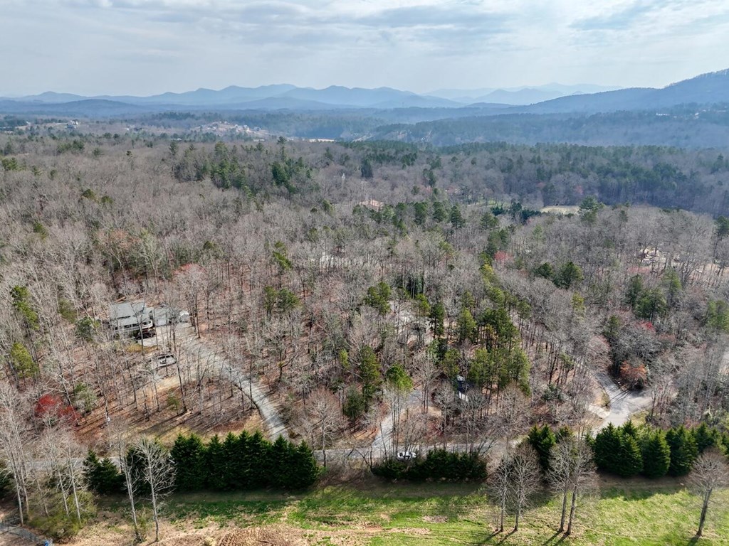 293 Paul Nicholson Road