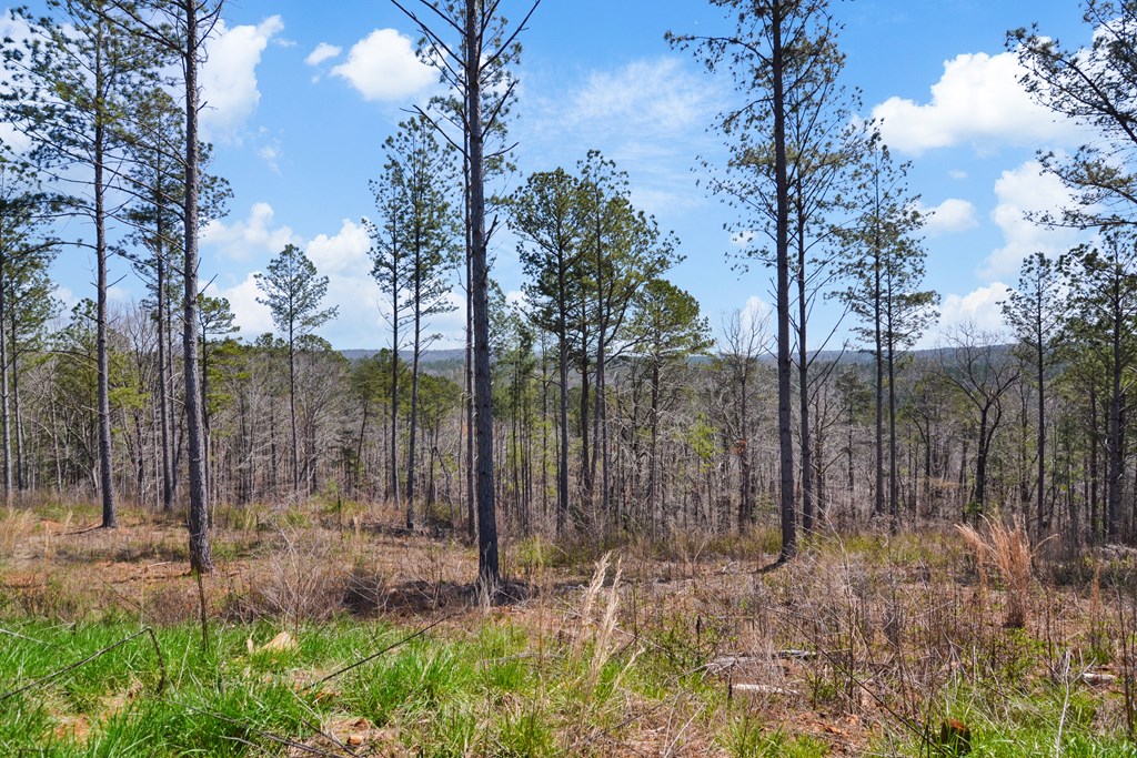 Lot 196 Blalock Mountain Road