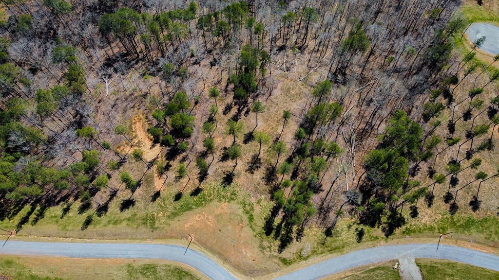 Lot 196 Blalock Mountain Road