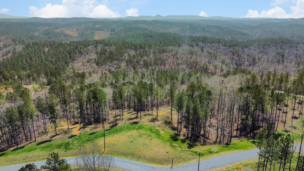 Lot 196 Blalock Mountain Road