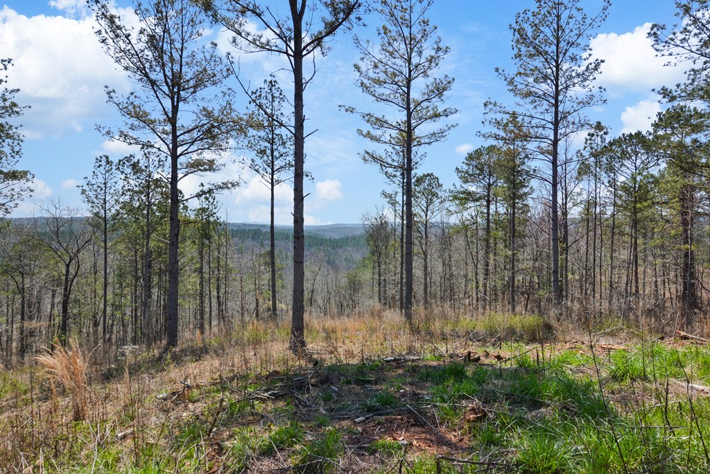 Lot 196 Blalock Mountain Road