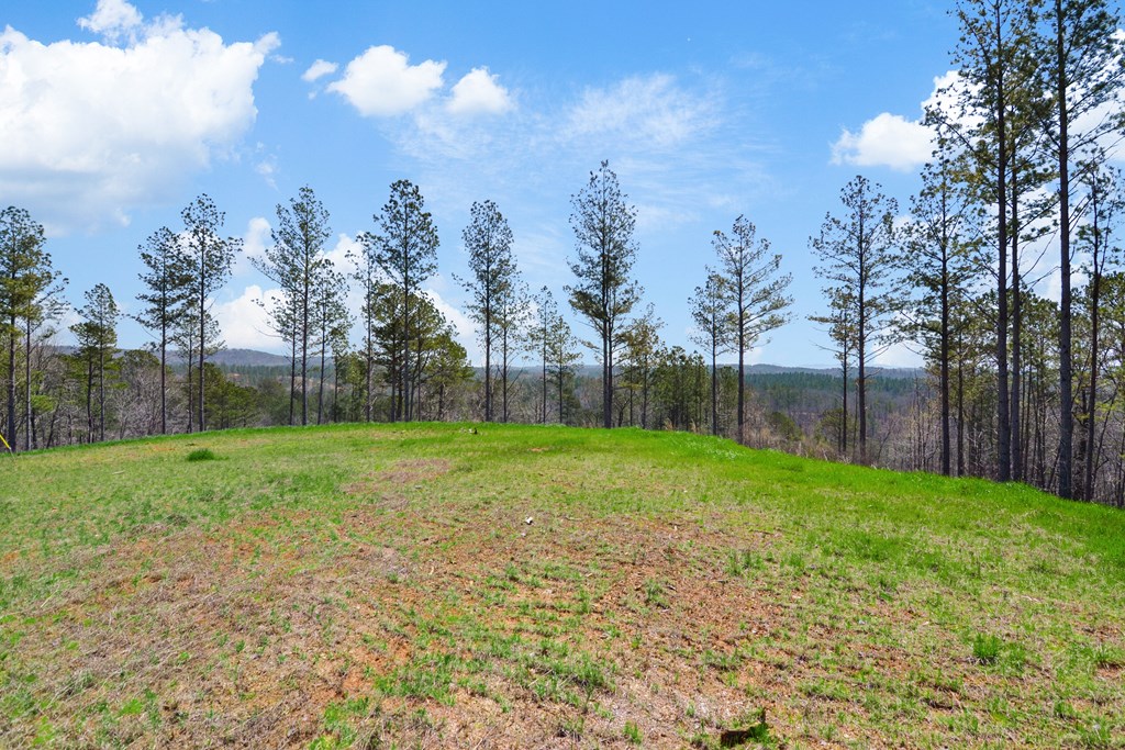 Lot 196 Blalock Mountain Road