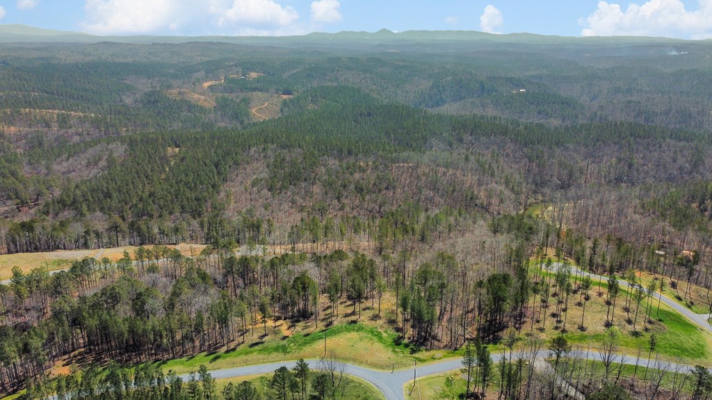 Lot 196 Blalock Mountain Road