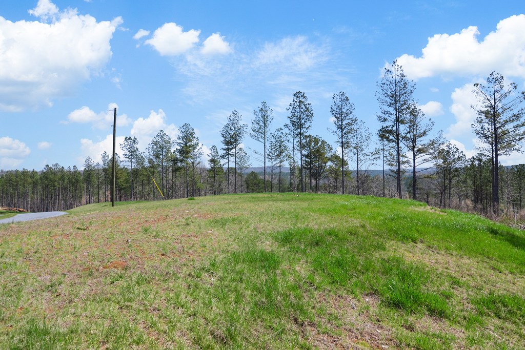 Lot 196 Blalock Mountain Road