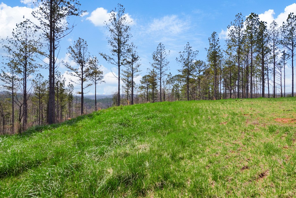 Lot 196 Blalock Mountain Road