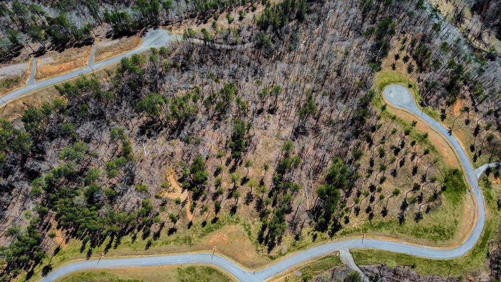 Lot 196 Blalock Mountain Road