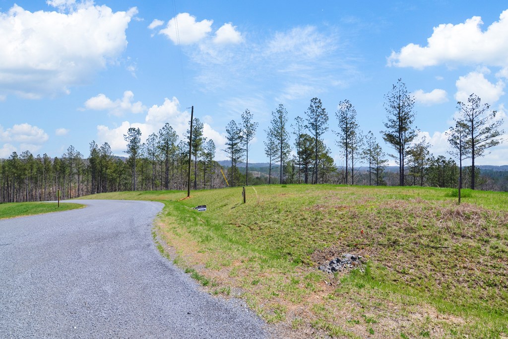 Lot 196 Blalock Mountain Road