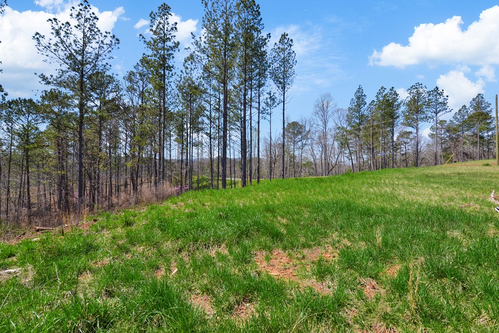 Lot 196 Blalock Mountain Road