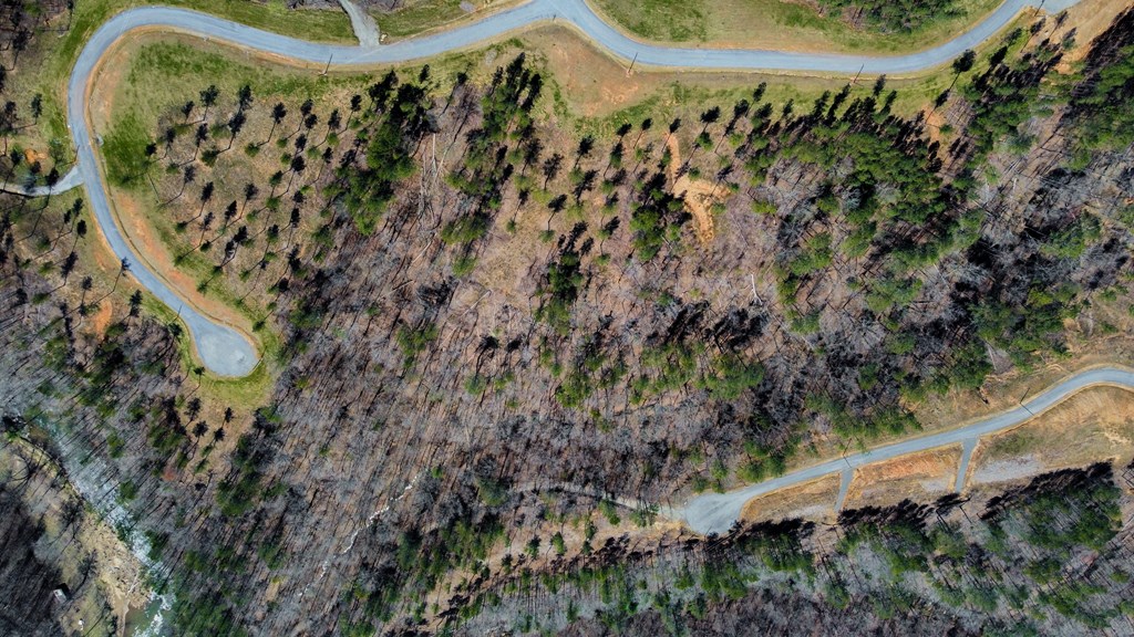 Lot 196 Blalock Mountain Road