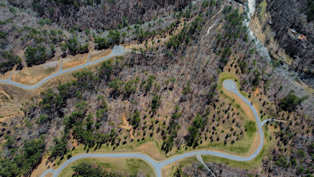 Lot 196 Blalock Mountain Road