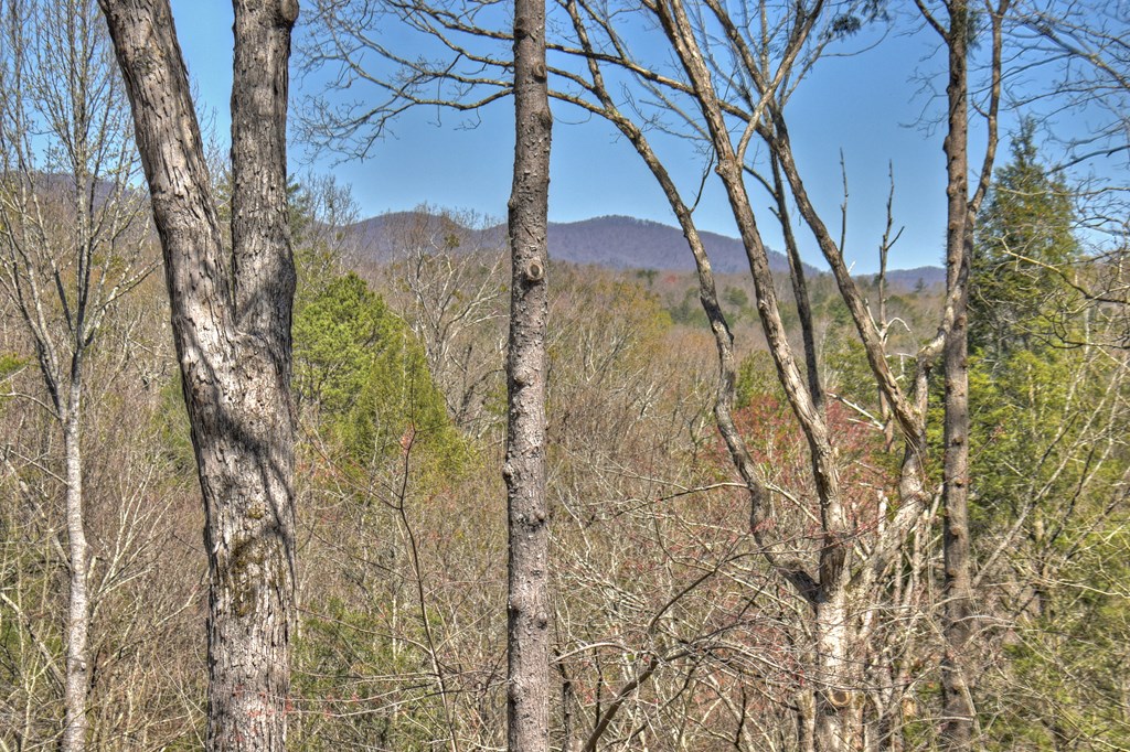 205 Pocaset Drive