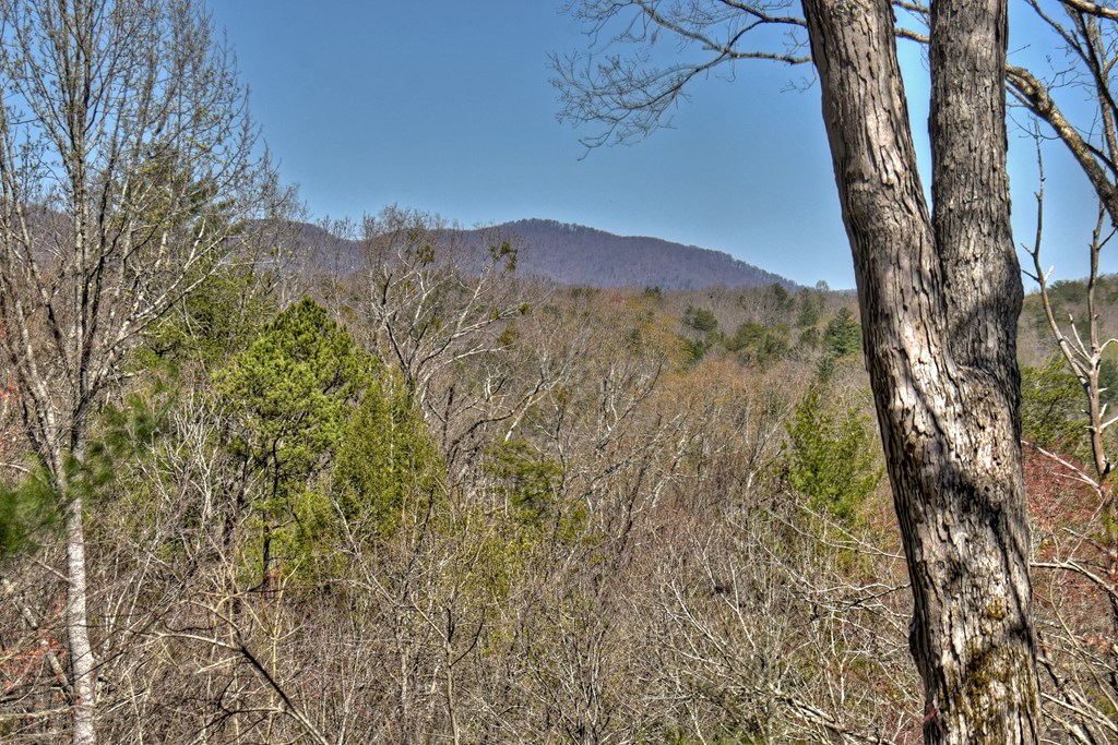 205 Pocaset Drive