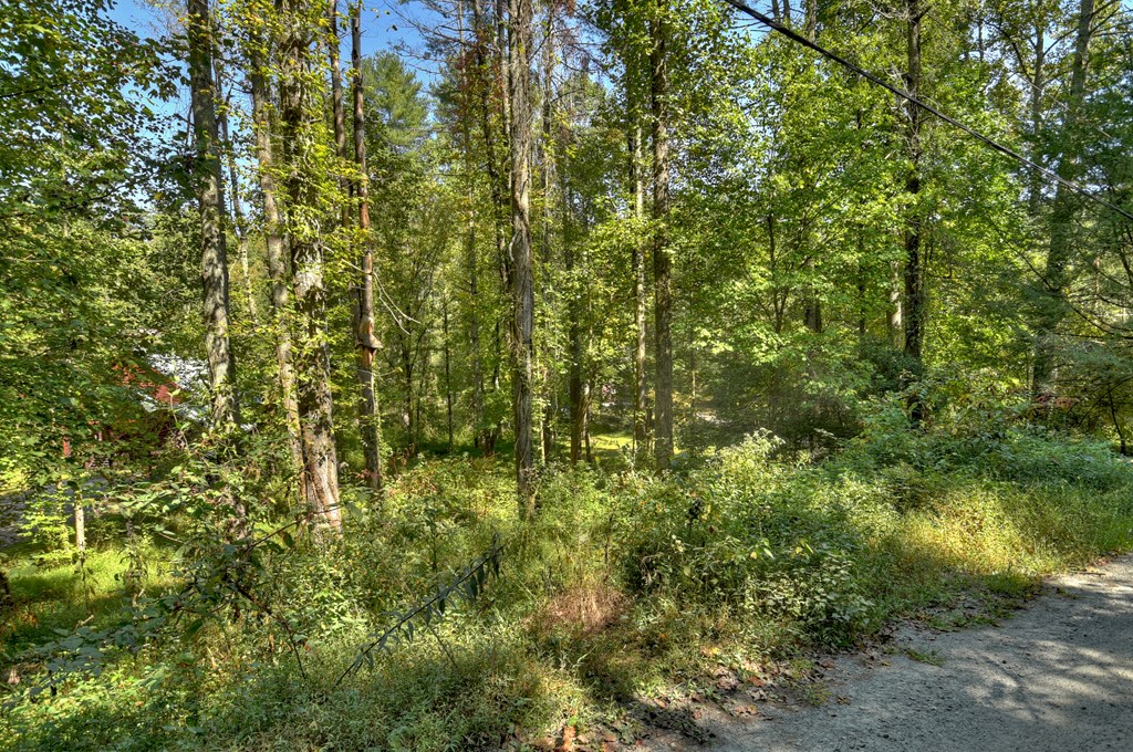 Lot 16 River Lane