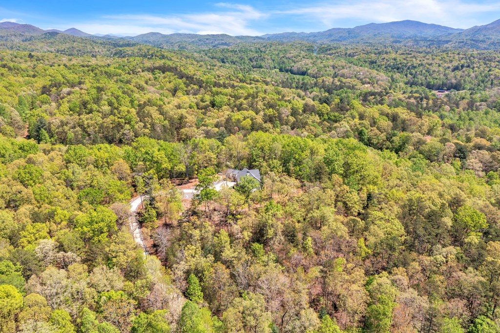 250 Boardtown Lane