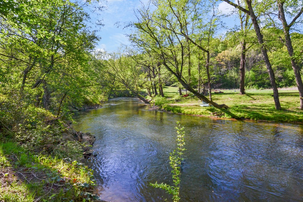 315 Cartecay River Run