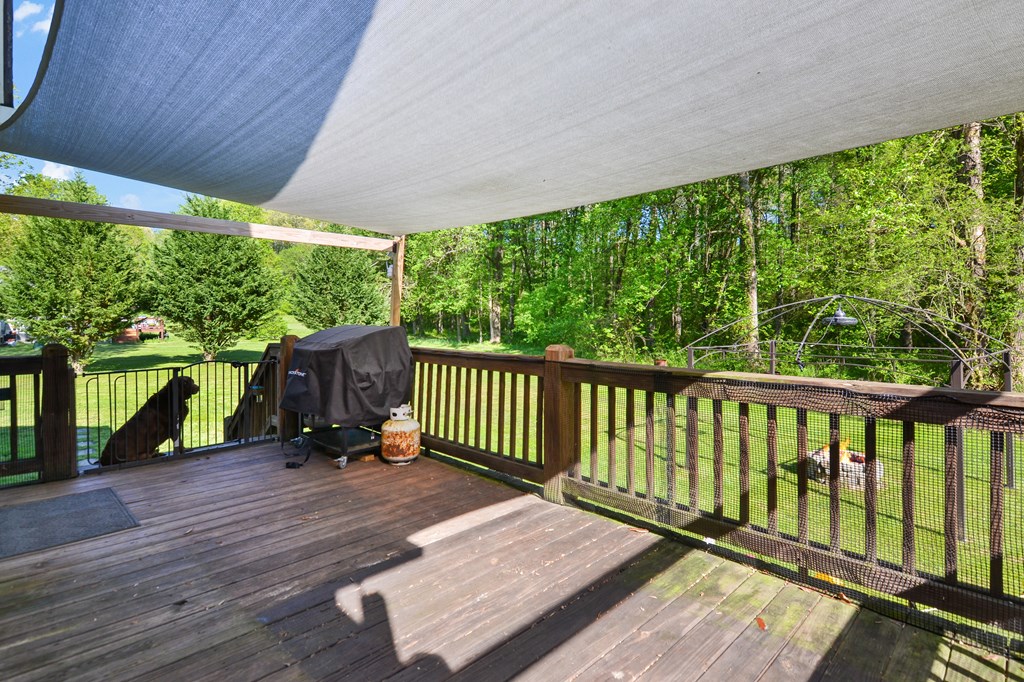 315 Cartecay River Run