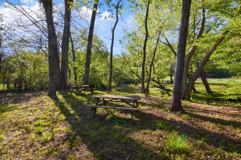 315 Cartecay River Run