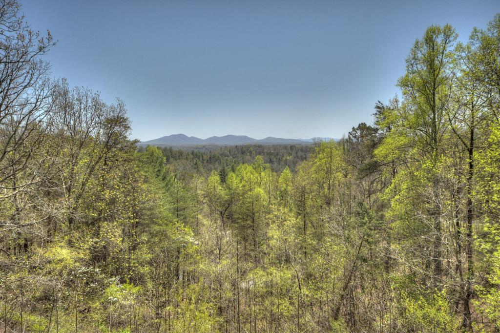 1599 My Mountain Road