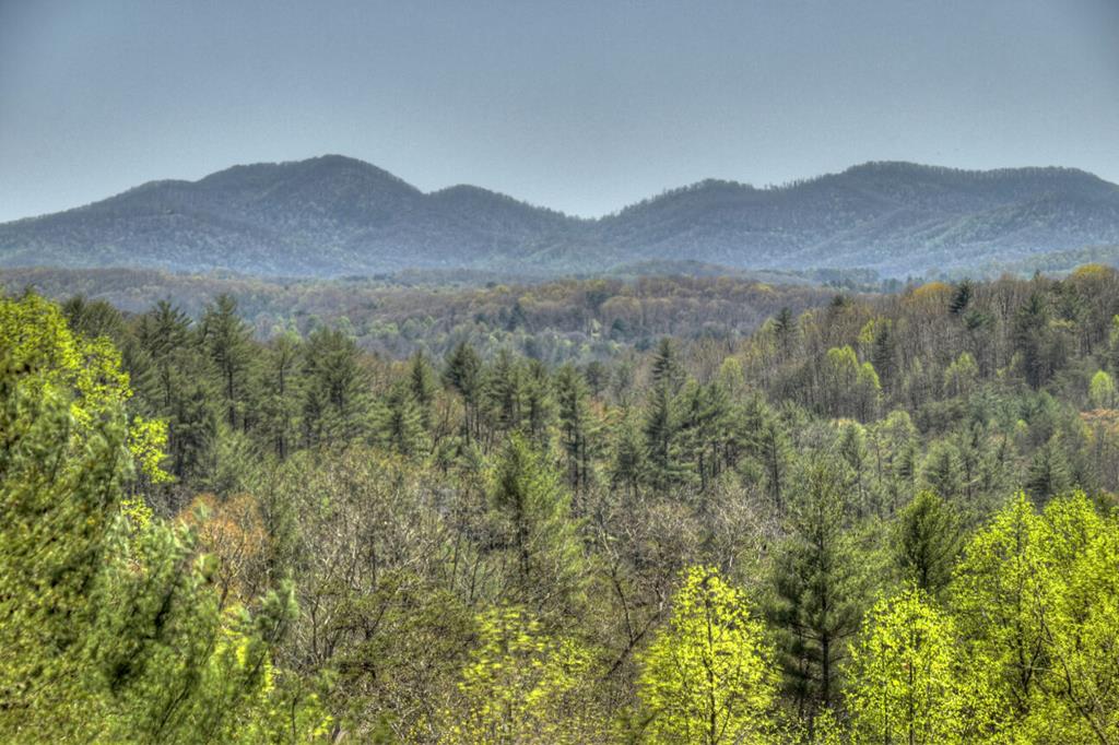 1599 My Mountain Road