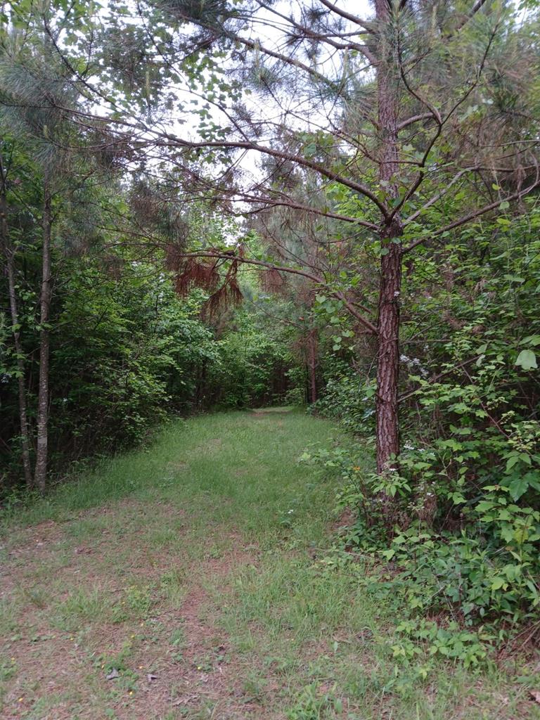7.52 Ac. Hicks Ford Road