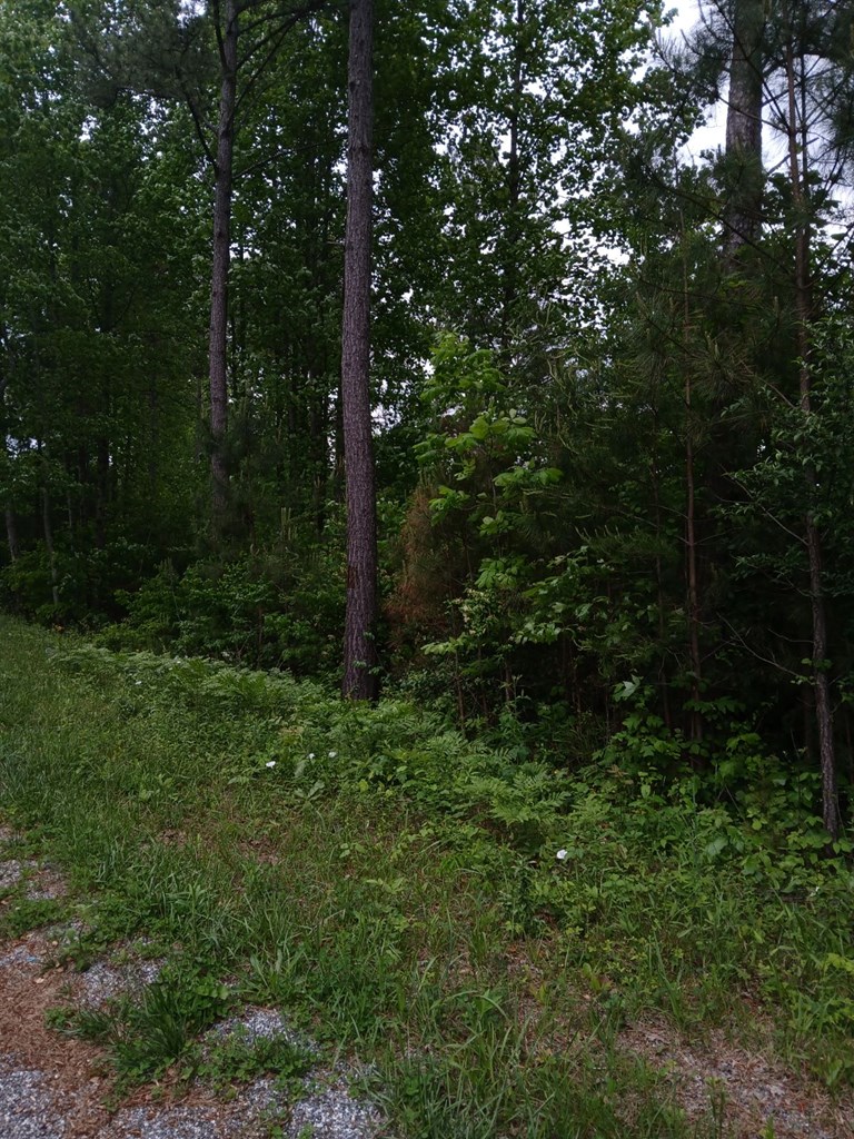7.52 Ac. Hicks Ford Road