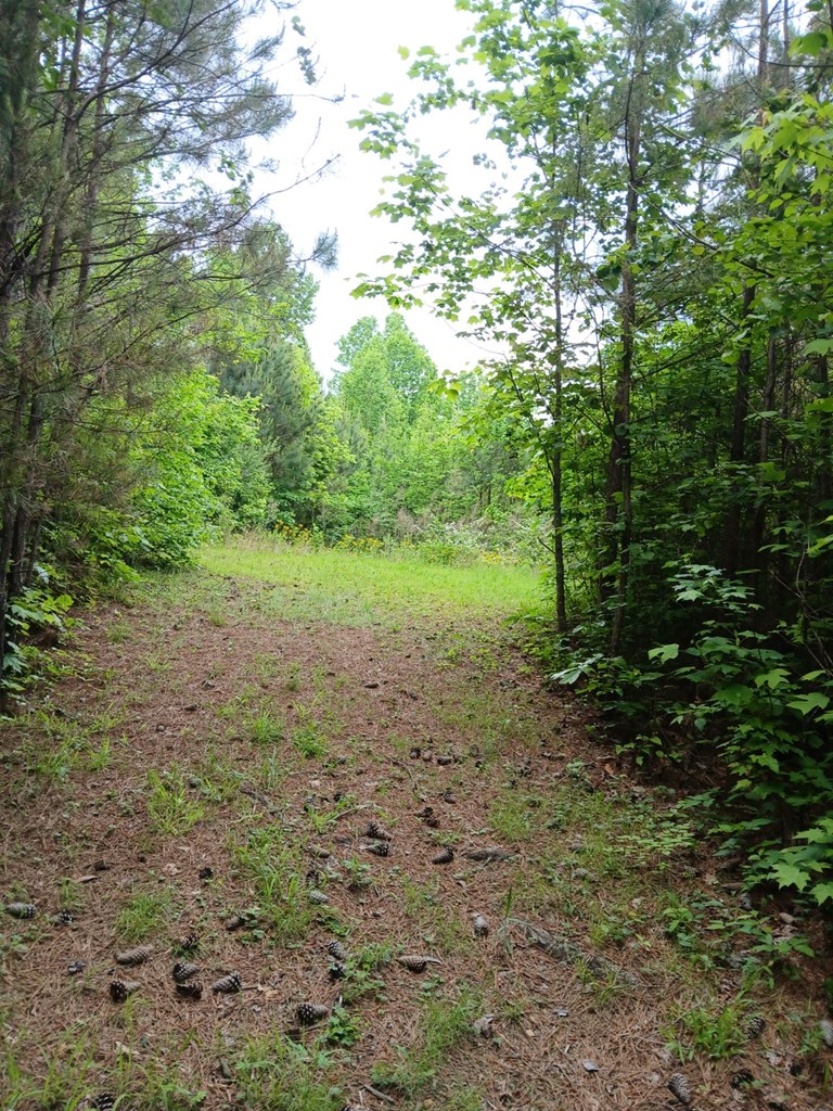 7.52 Ac. Hicks Ford Road